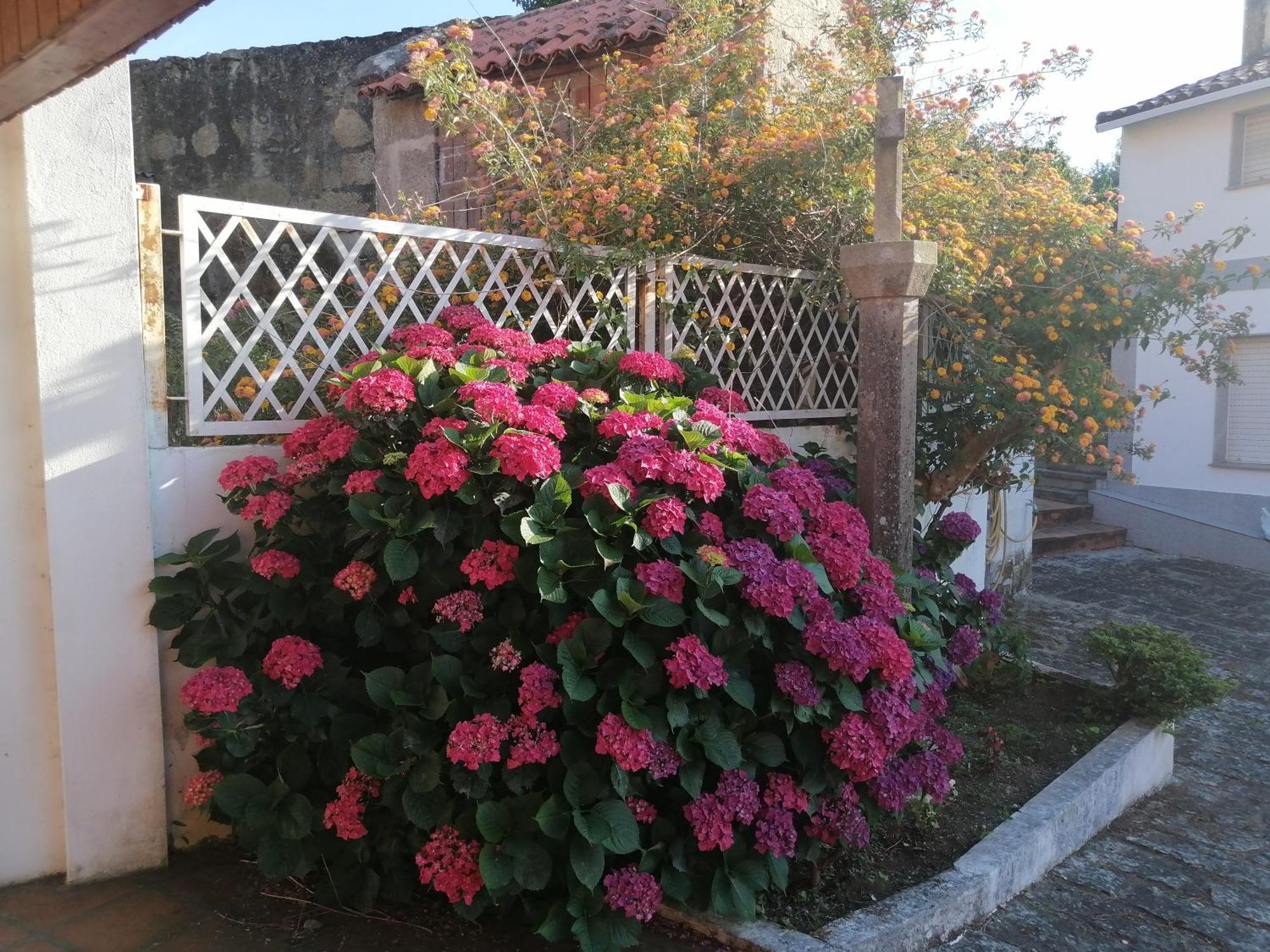 Casa Reboredo Pontevedra Luaran gambar